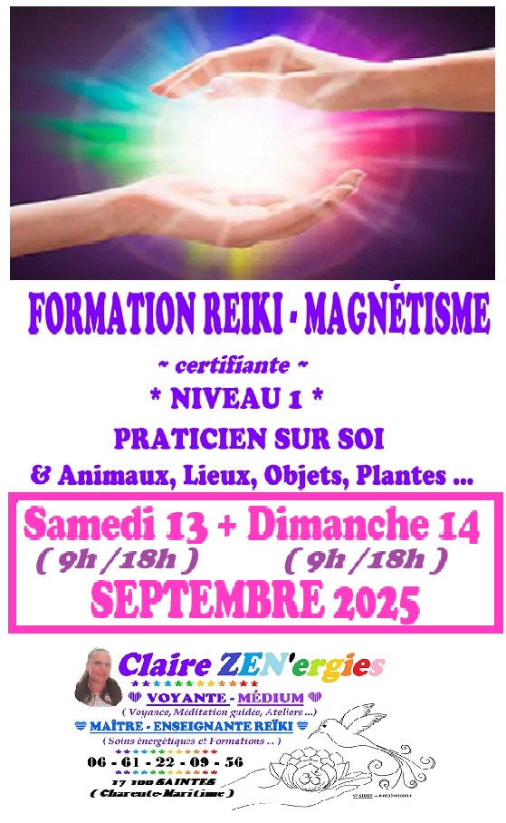 FORMATION MAGNETISME REIKI DEGRÉ 1