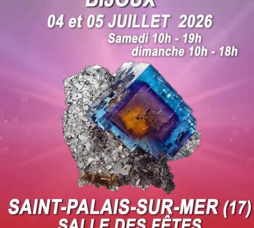 Salon minéraux, fossiles, bijoux de créateur.