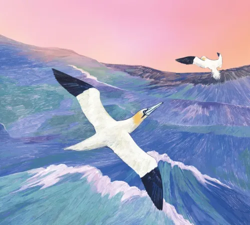 FIFAV - Festival International du Film et du Livre d'Aventure à La Rochelle