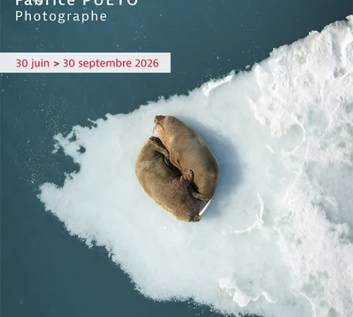 Exposition photo « Ne perdons pas le Nord »Fabrice Pueyo