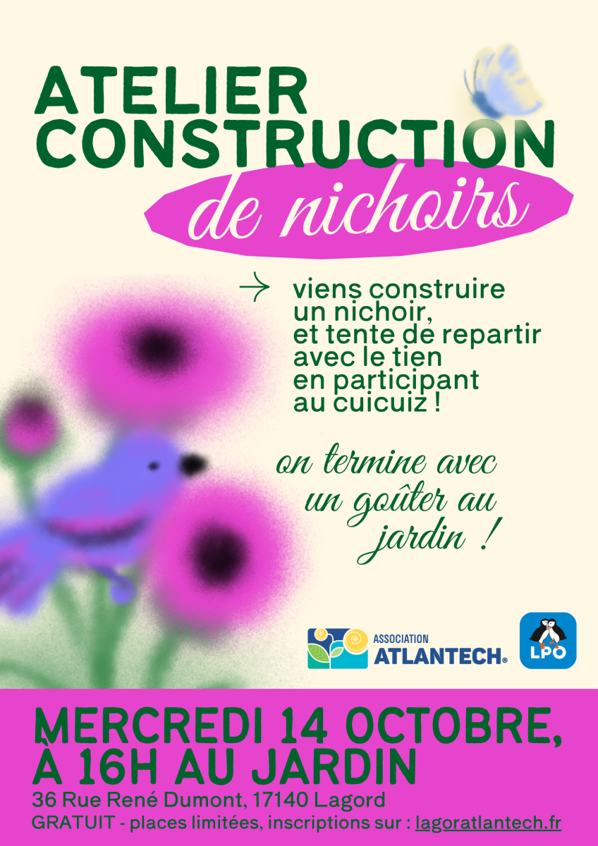 Atelier construction ...