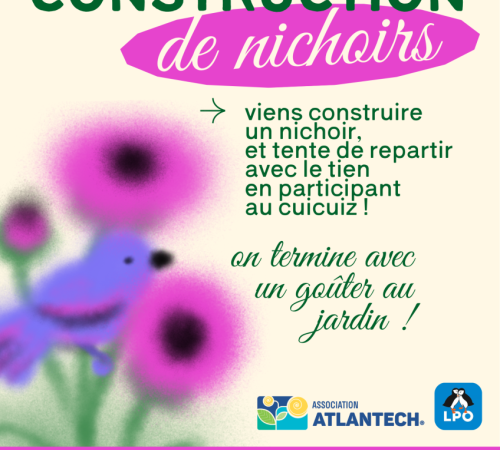 Atelier construction nichoirs - avec la LPO