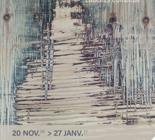 Exposition Apparitions de Ladislas Combeuil
