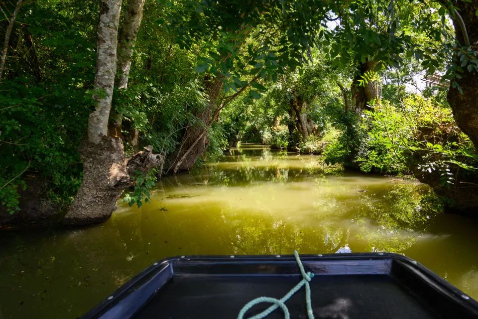 Pôle Nature du Marais Poitevin