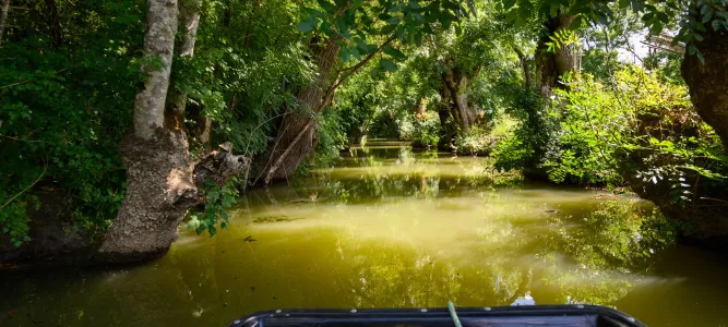 Pôle Nature du Marais Poitevin