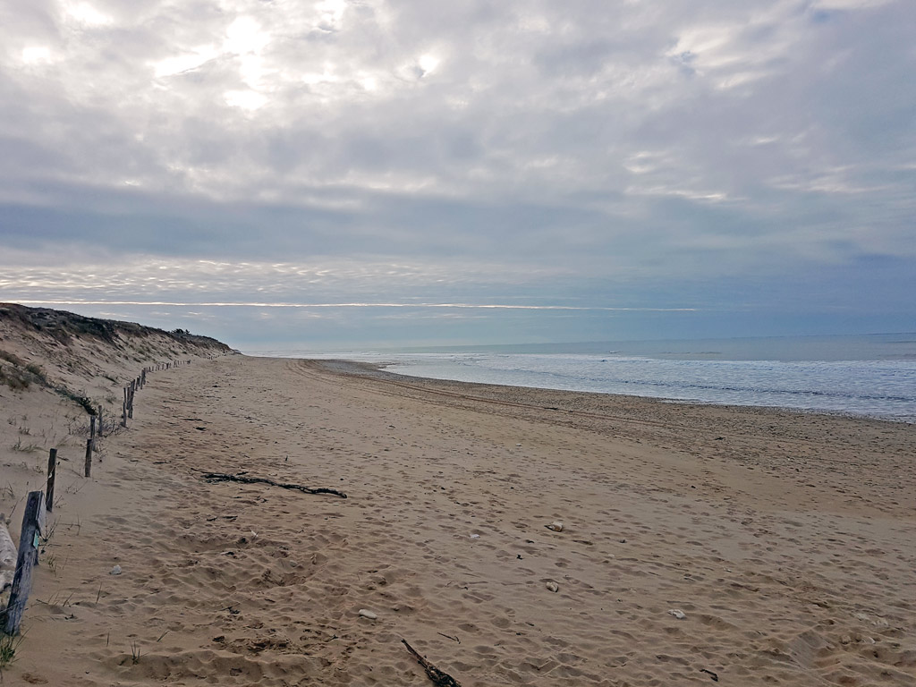 Plage Du Gros Jonc Les Portes En Ré