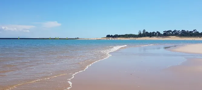 Plage des Saumonards à Saint-Georges-d'Oléron