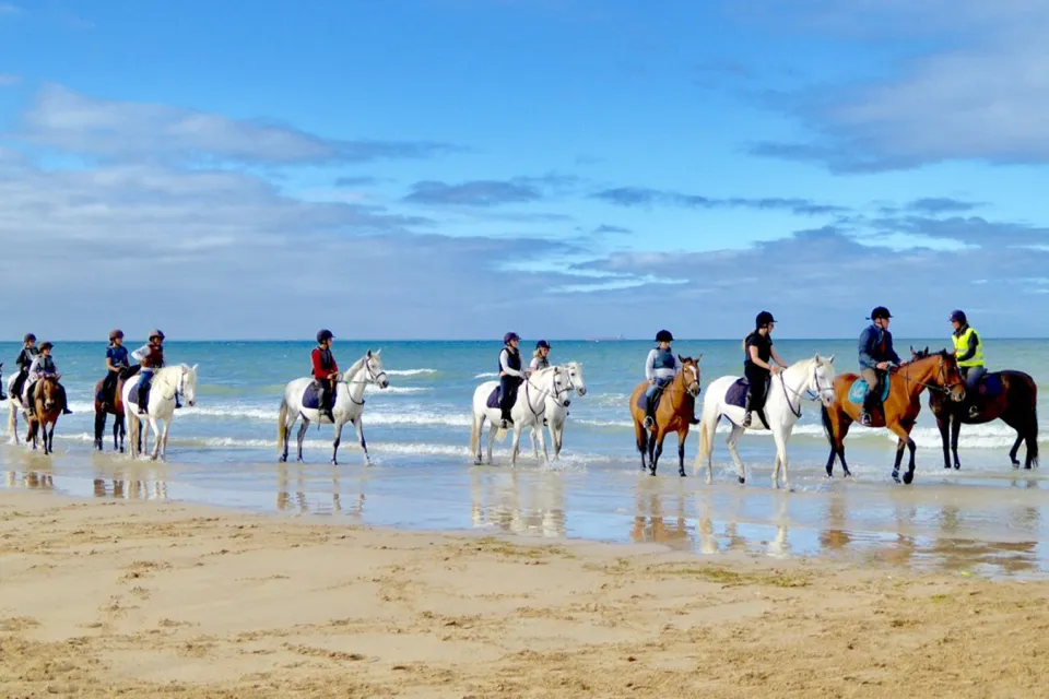 Moulin Moreau stables