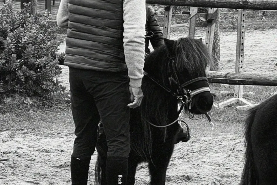 Moulin Moreau stables
