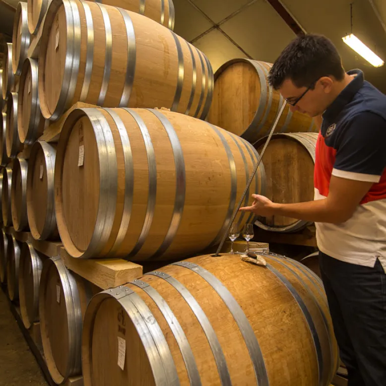 Domaine Fradon