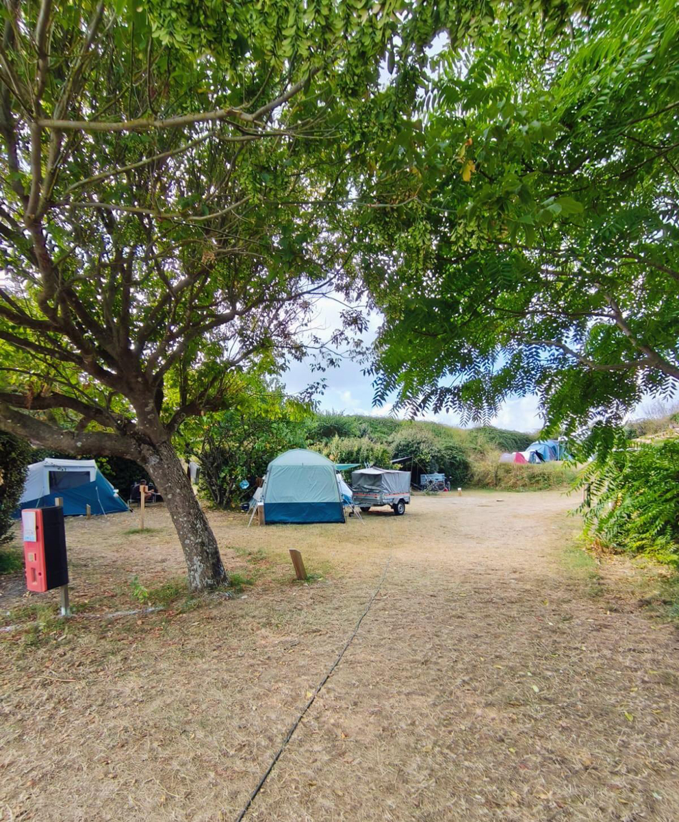 wurfzelt für 4 personen Das Pop-up-Wurfzelt für Camping & Party mit rasantem Quick-up-Aufbau! main image 1