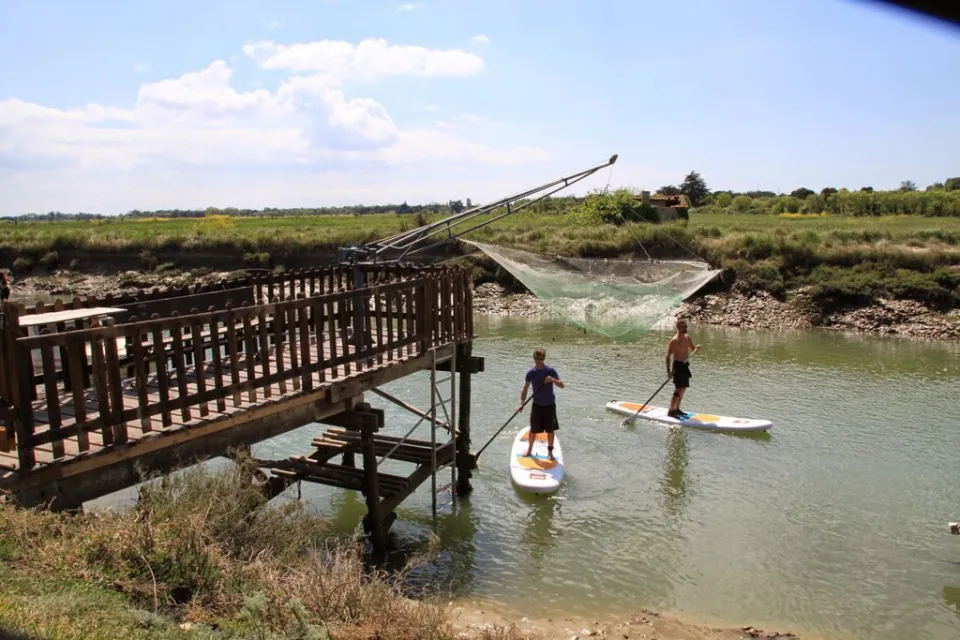 Salicorne stand up paddle