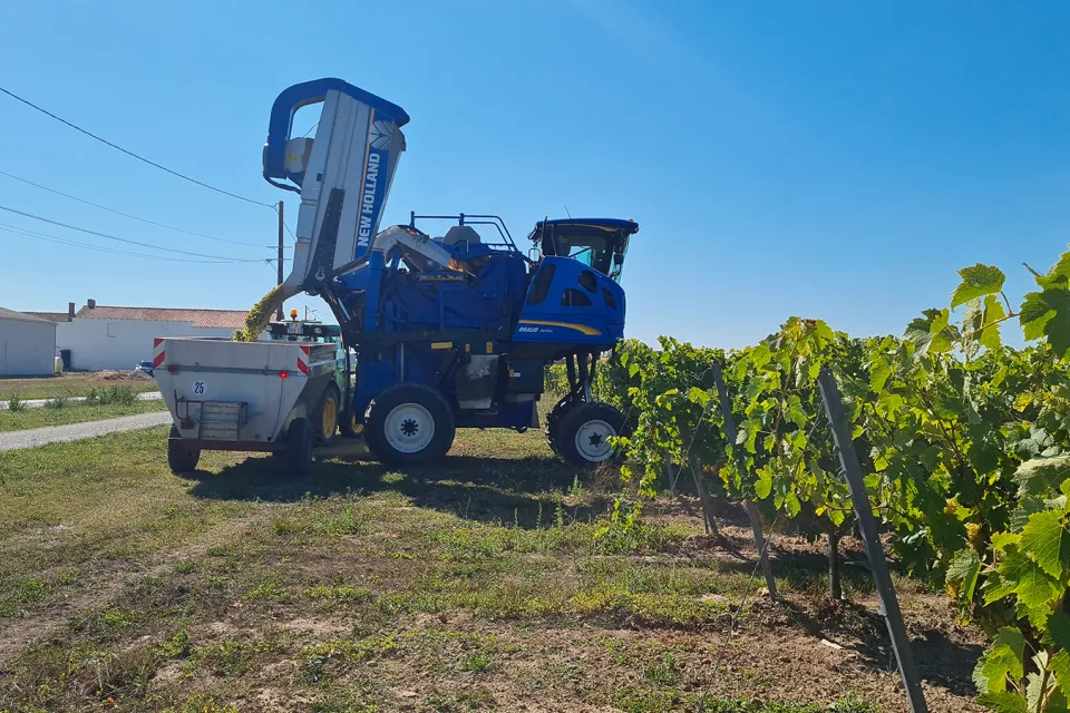 Vignoble Vincent