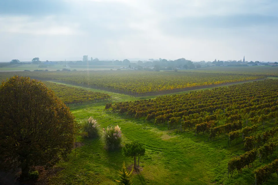 Domaine Imbert