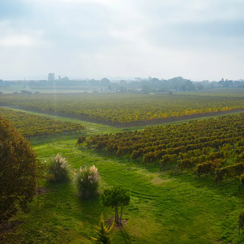 Domaine Imbert