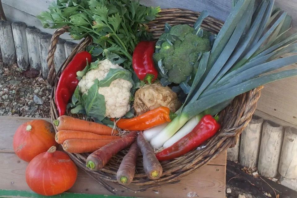 Le Potager Marandais