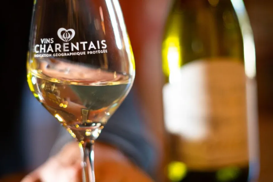 Domaine Poncereau de Haut