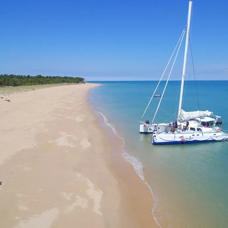 Ile ou Aile Catamaran