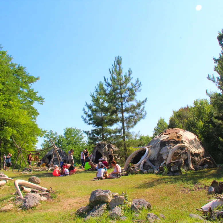 Paléosite