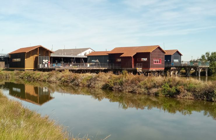 Cite De L Huitre Unusual Visits In Marennes Guide De Charente Maritime Cite De L Huitre Unusual Visits In Marennes Guide De Charente Maritime