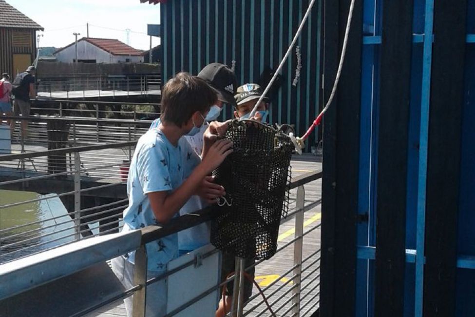 Cite De L Huitre Unusual Visits In Marennes Guide De Charente Maritime Cite De L Huitre Unusual Visits In Marennes Guide De Charente Maritime