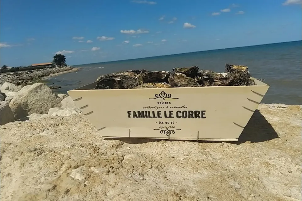 Le Corre Oysters