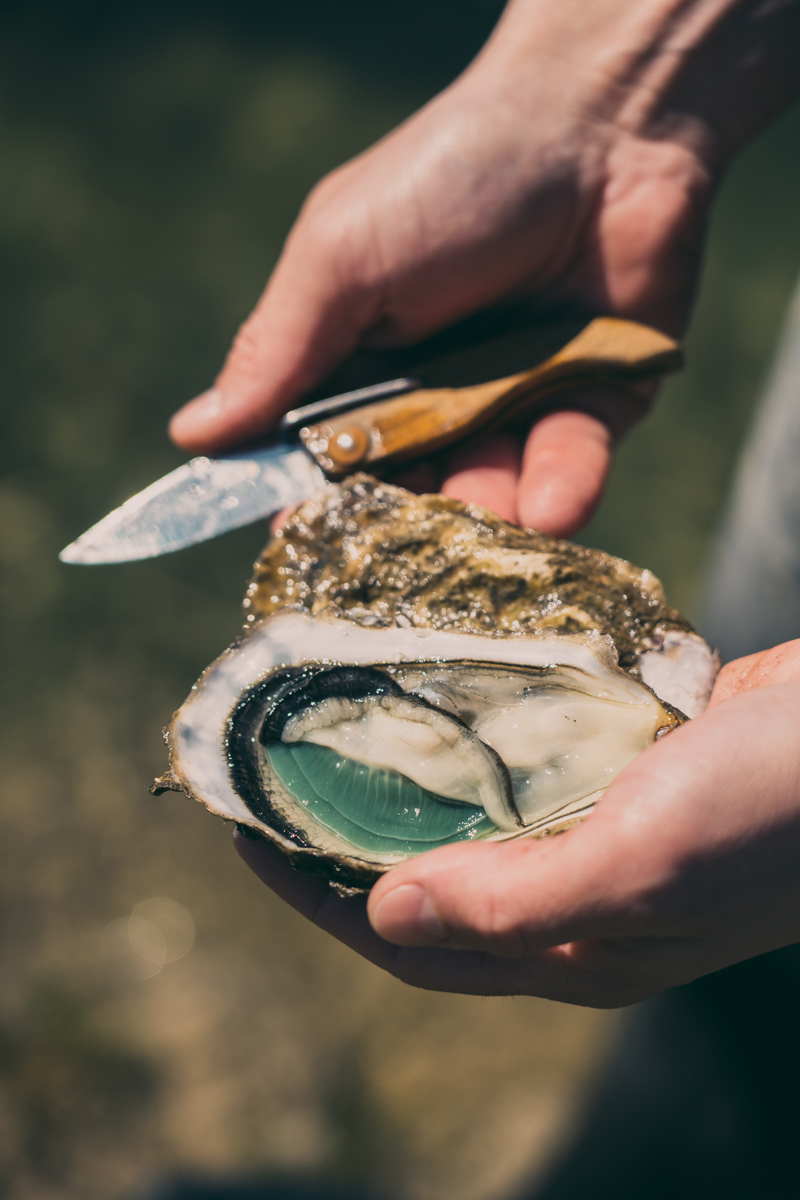 Huîtres Lambert
