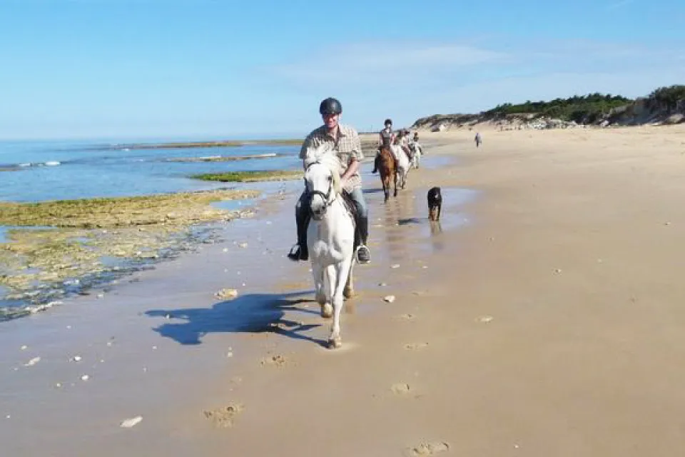 Les Petites Ecuries des Marais