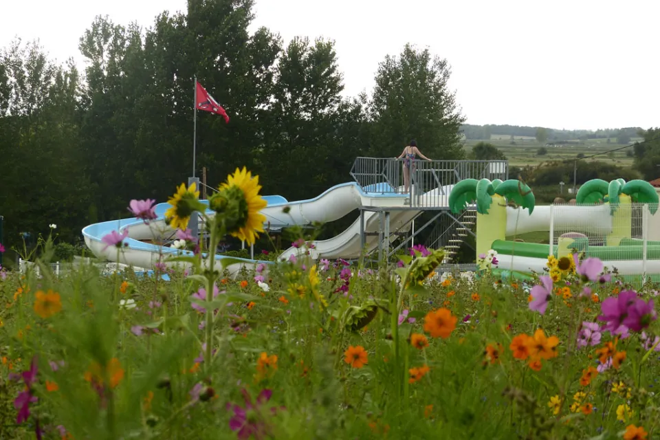Camping Les Vignes