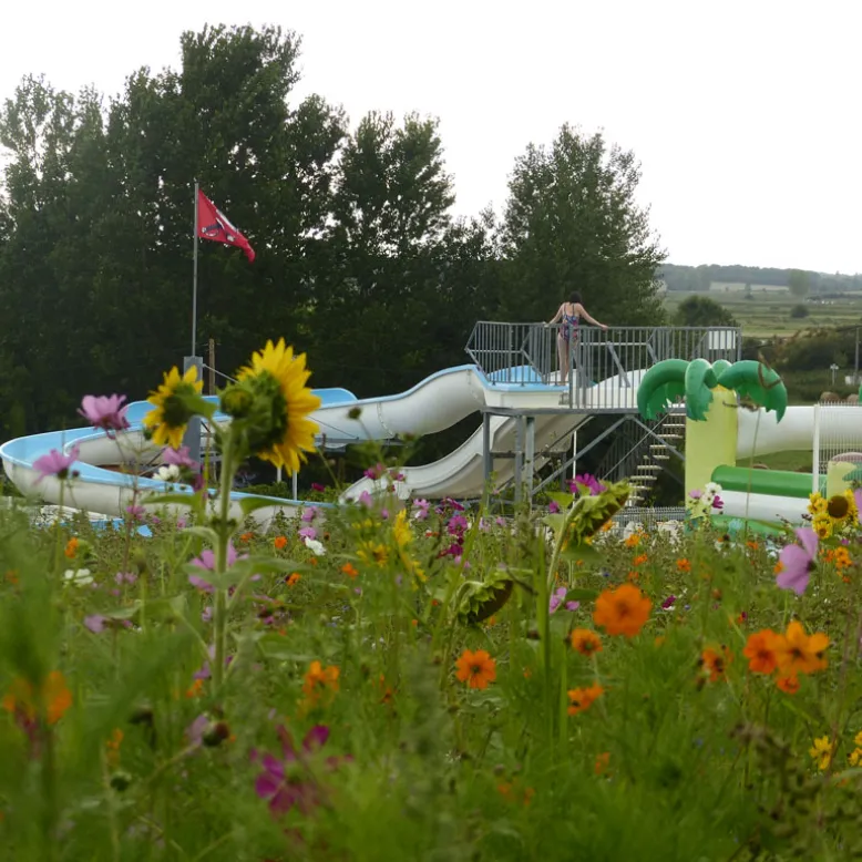 Les Vignes Campsite
