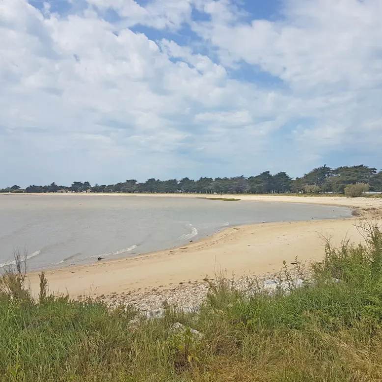 Plage aux Coquillages de l'île d'Aix