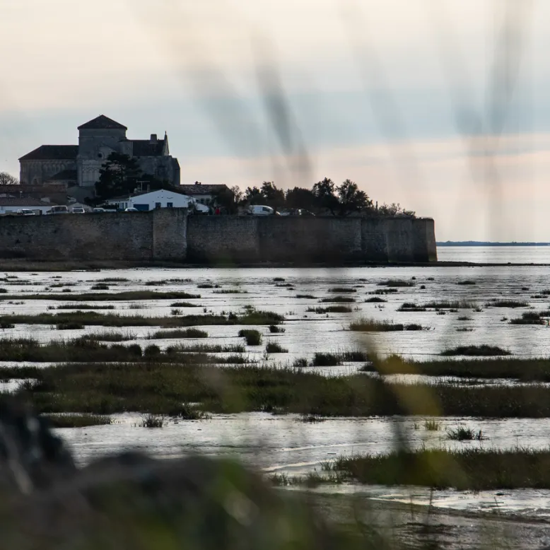 La baie de Talmont sur Gironde