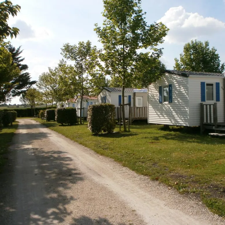 Campsite 2B