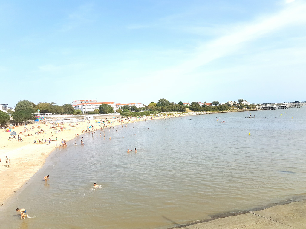 Download Decorations de reservoir de poissons sur le theme de la plage For Free