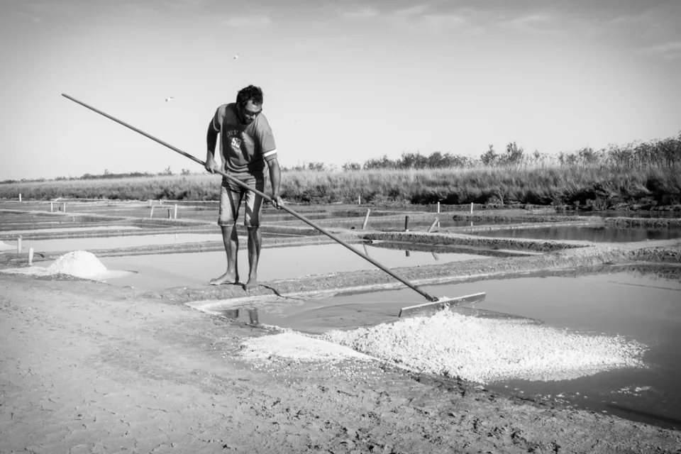 Coopérative des Sauniers de L'Ile de Ré