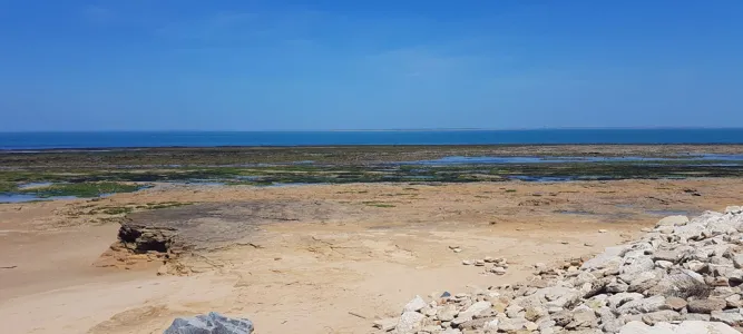 Plage de la Saucière à Les Portes en Ré