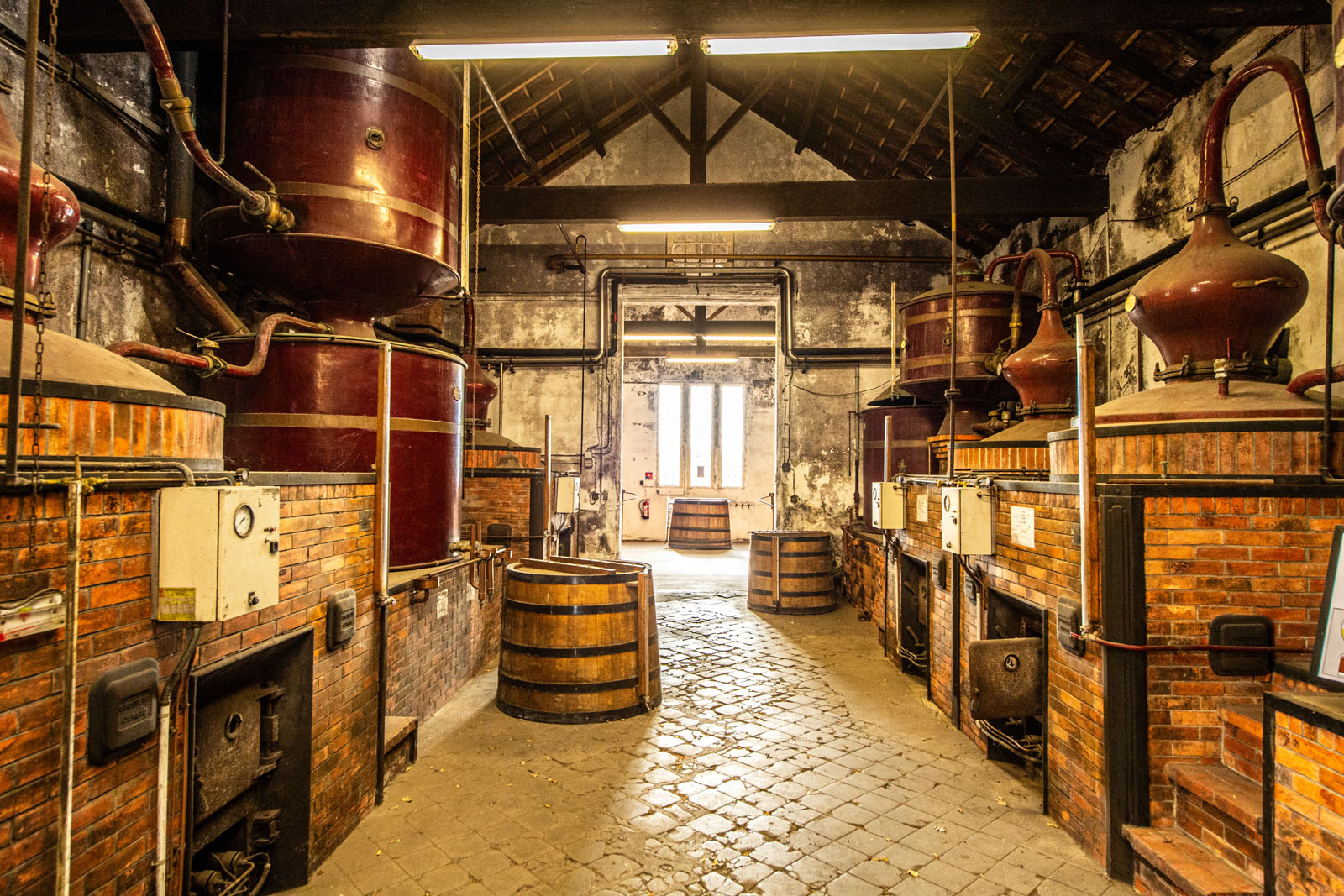 Cognac Vallein Tercinier