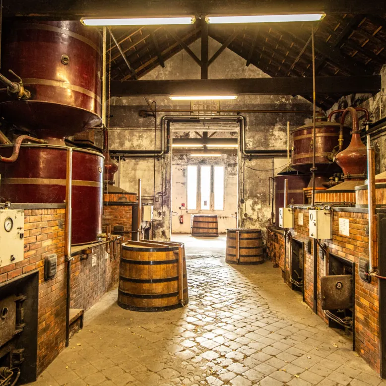 Cognac Vallein Tercinier