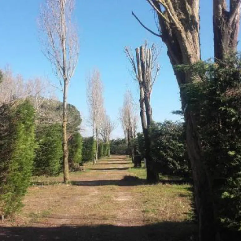 Camping Le Prélong