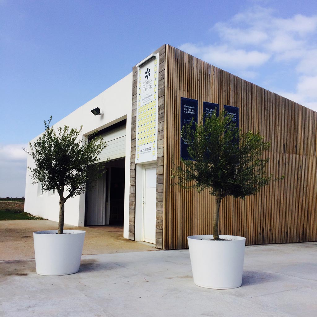 Les Eaux Calmes Mornac Sur Seudre Restaurant