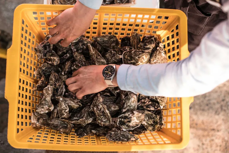 Huîtres Saveurs Nacrées
