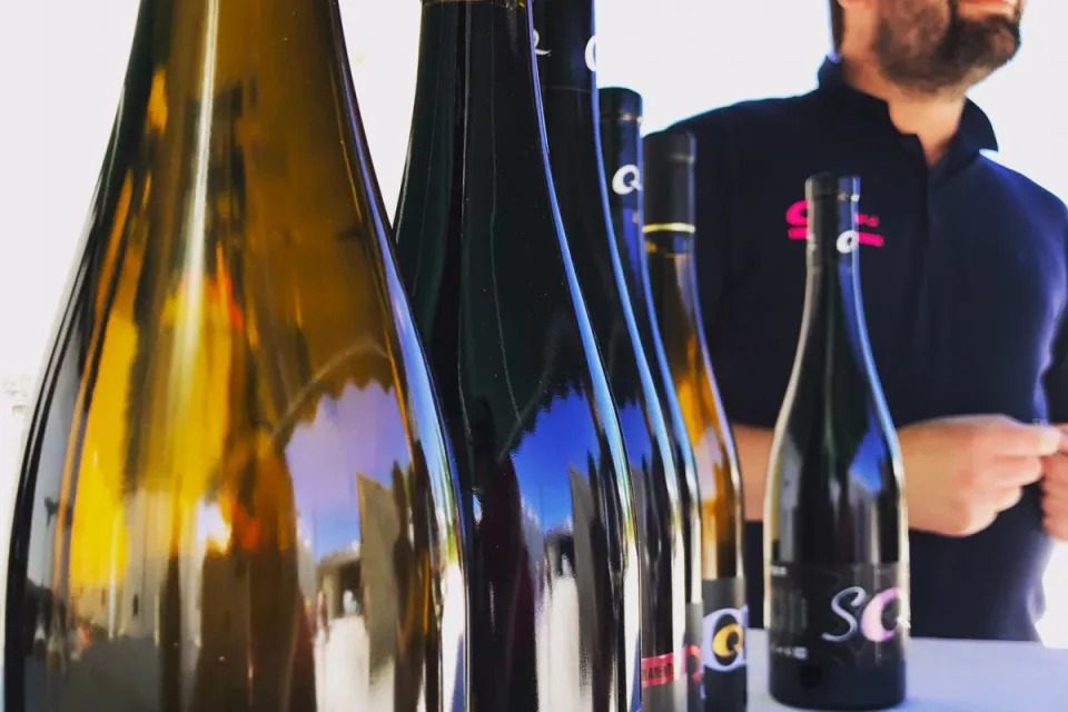 Domaine Quintard Frères
