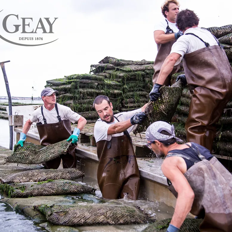 Geay Oysters