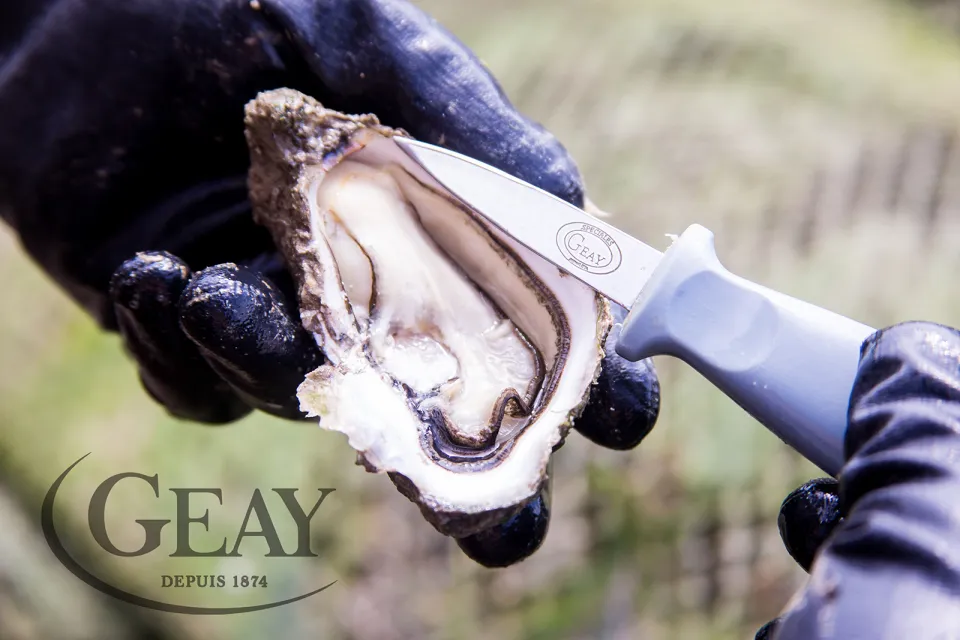 Geay Oysters
