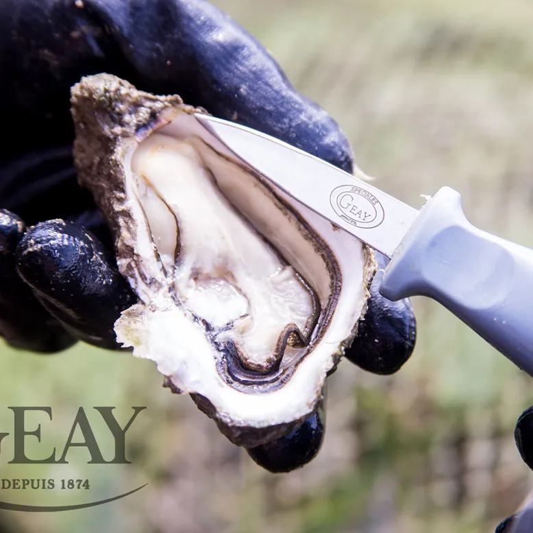 Geay Oysters