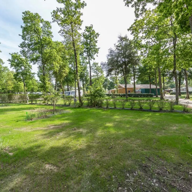 Camping la Cailletière