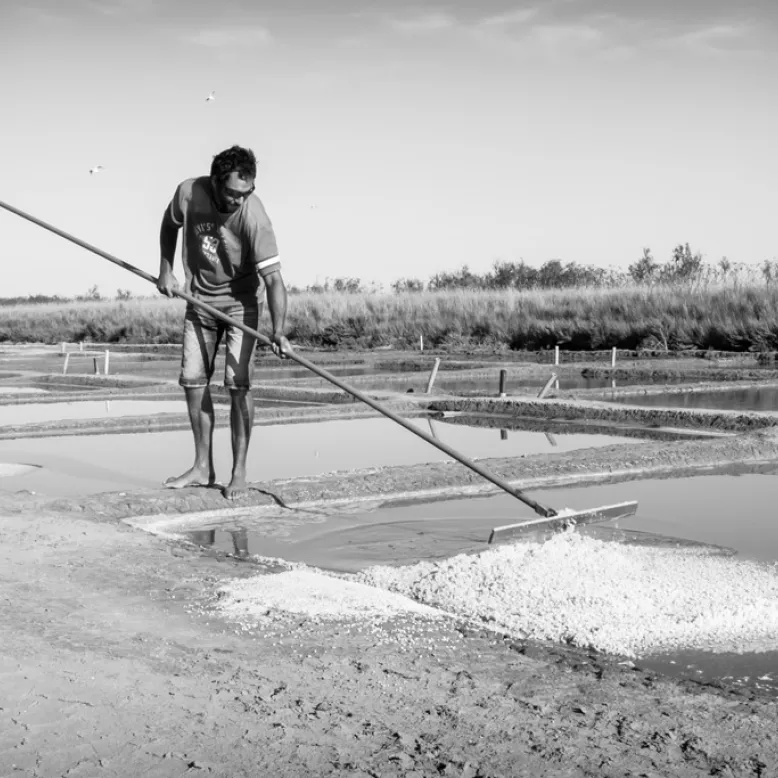 Coopérative des Sauniers de L'Ile de Ré