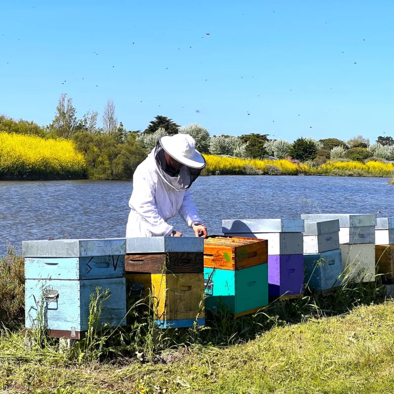 L'Abeille de Ré