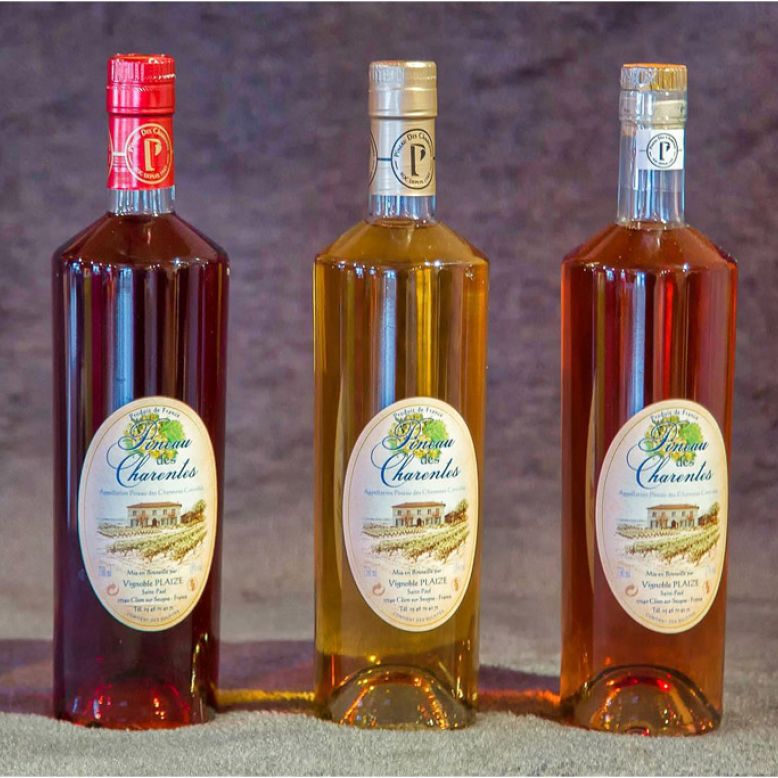 Visites & Activités de Groupe Guide de Charente Maritime