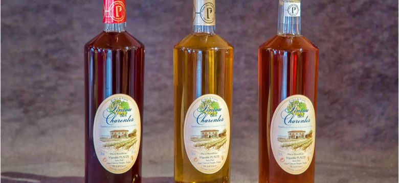 Visites & Activités de Groupe Guide de Charente Maritime